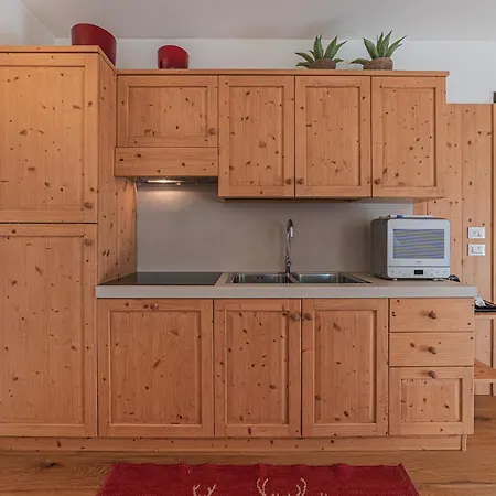 Apartment Dolomites Essence *